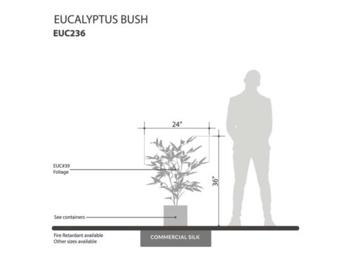 Eucalyptus Bush ID# EUC236