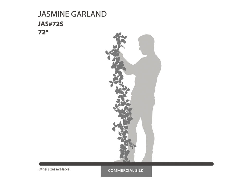 Jasmine Garland, Salmon ID# JAS#72S