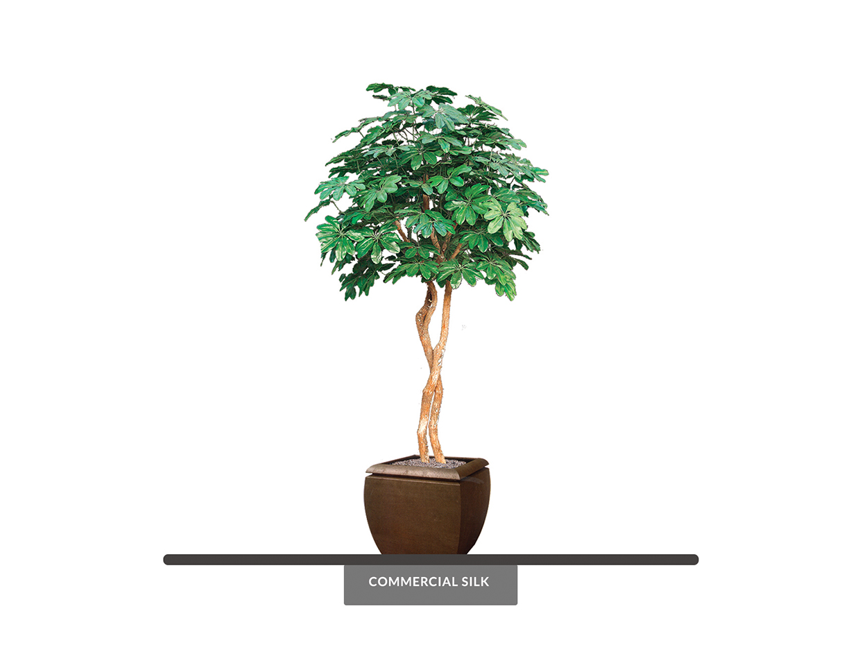 Artificial Schefflera Arboricola Tree