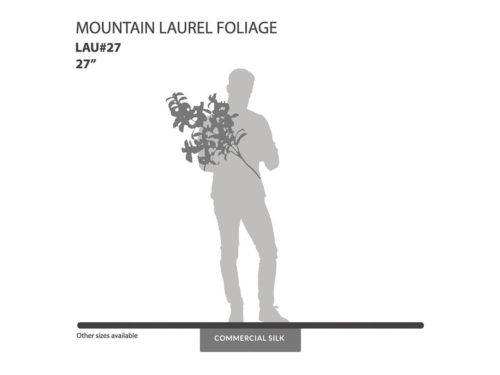 Mountain Laurel Spray ID# LAU#27