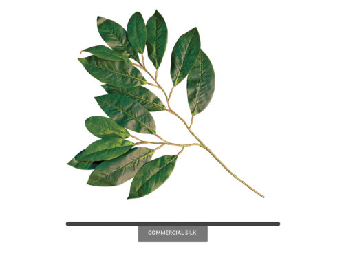 Magnolia Spray ID# MA#27