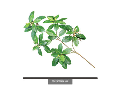 Mangrove Spray ID# MAN#26