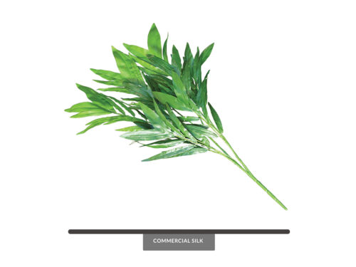 Bamboo Palm Tree Leaves ID# BBP#32