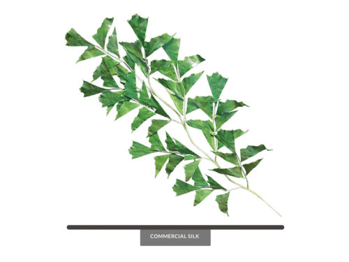 Fishtail Palm Spray ID# FPA#45