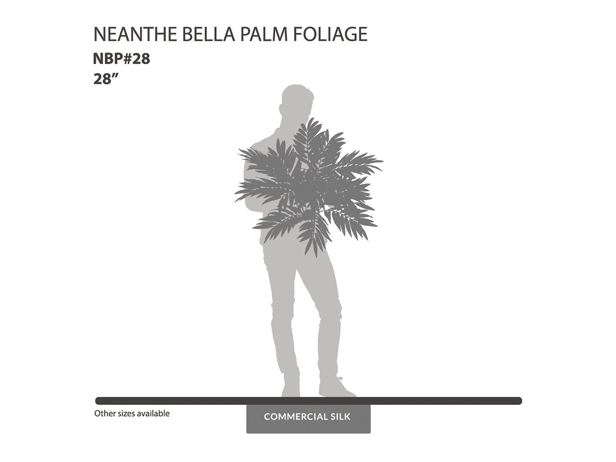 Neanthe Bella Palm Bush ID# NBP#28