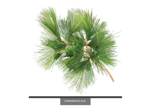Long Needle Pine Spray ID# PLN#32