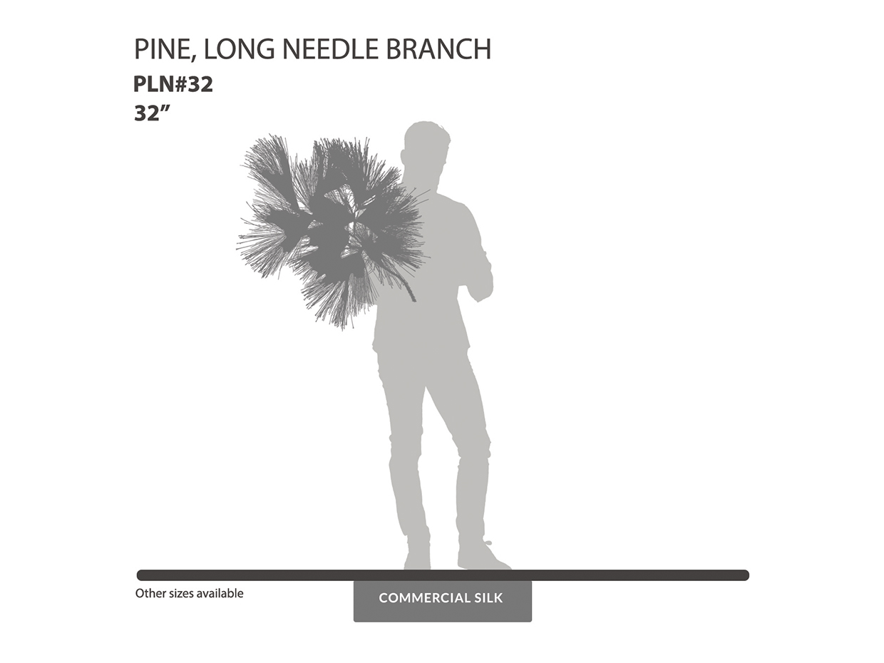 Long Needle Pine Spray ID# PLN#32