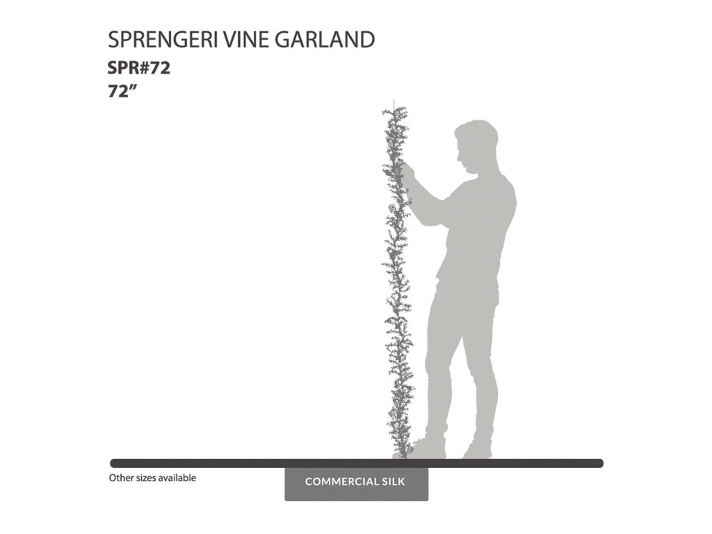 Sprengeri Garland ID# SPR#72