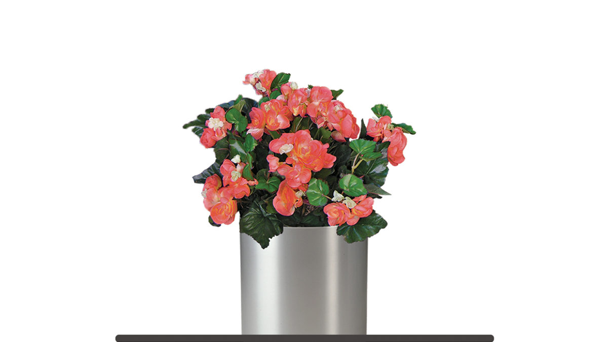 Artificial Real Touch Begonia Plant Silk Flowers 