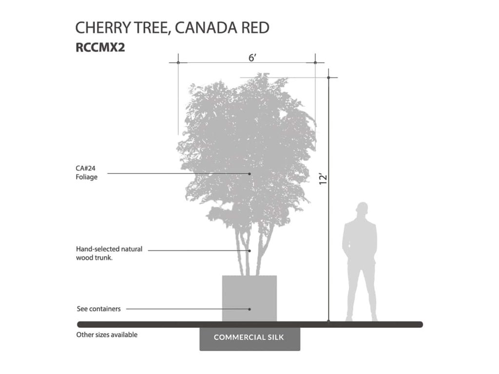 Cherry Tree, Red ID# RCCMX2