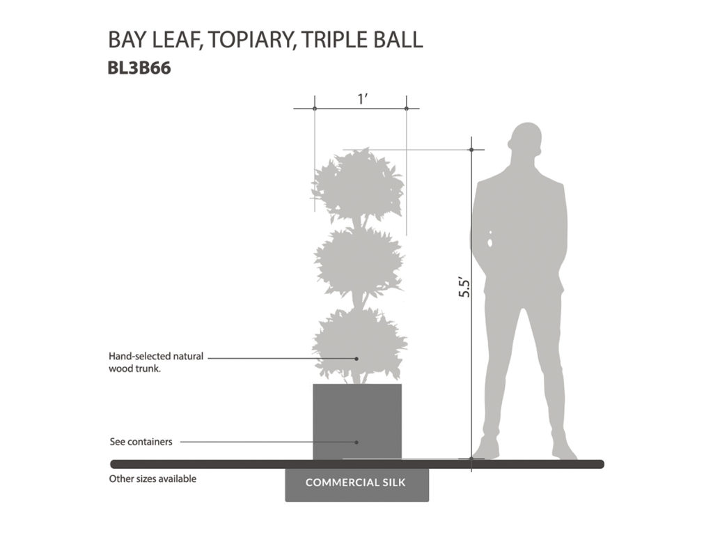 Bayleaf Topiary Balls ID# BL3B66