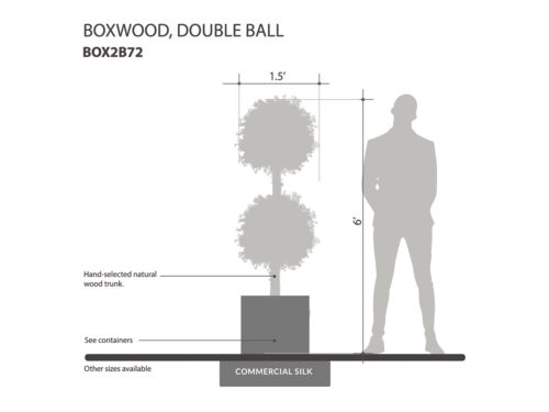Boxwood Sphere ID# BOX2B72