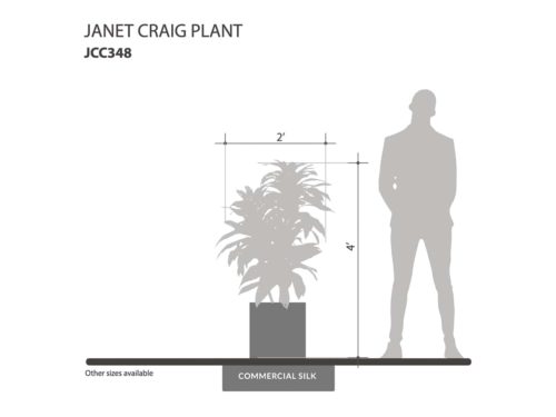 Janet Craig Plant ID# JCC348