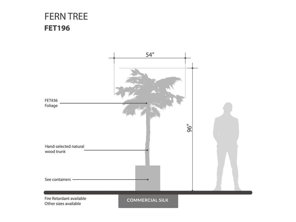 Fern Tree ID# FET196