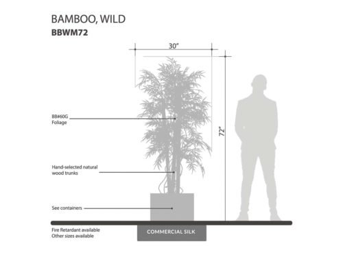 Wild Bamboo Tree ID# BBWM84