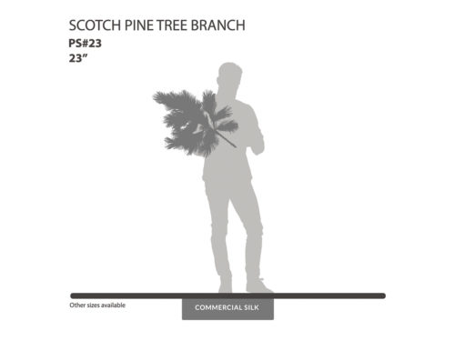 Scotch Pine Spray ID# PS#23