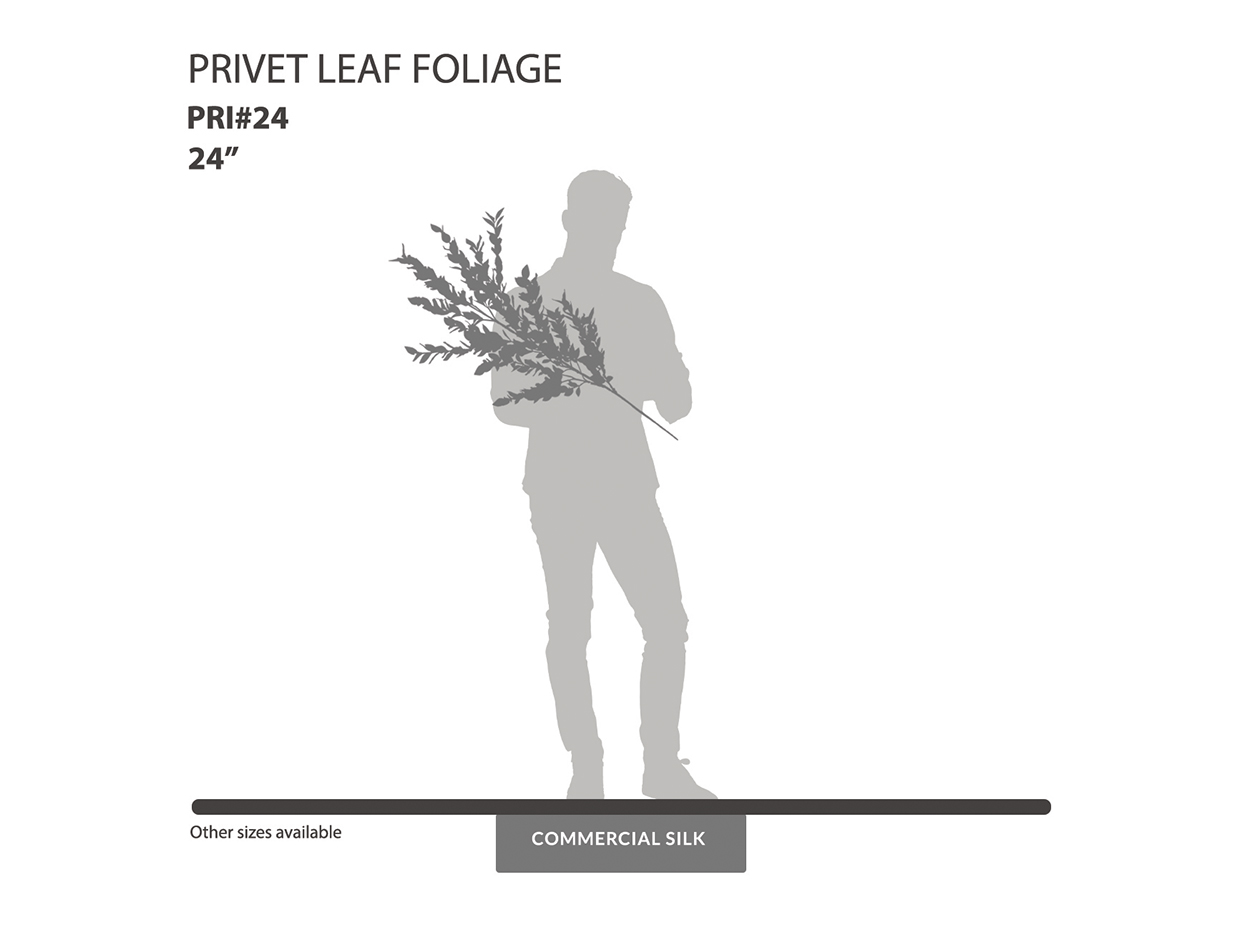 Privet Plant Spray ID# PRI#24
