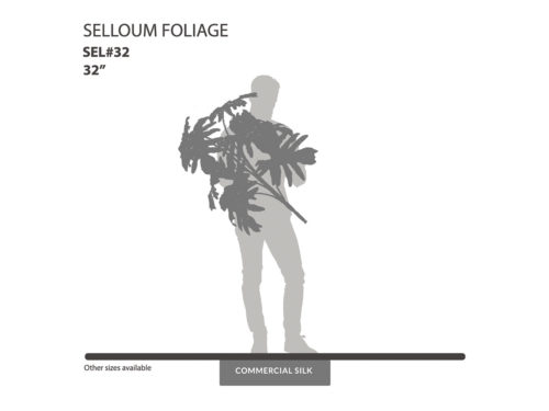 Selloum Bush ID# SEL#32