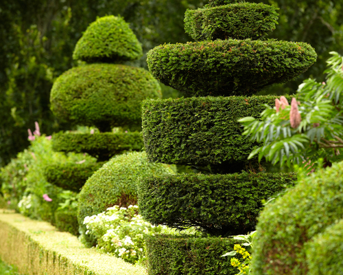 abstract topiaries