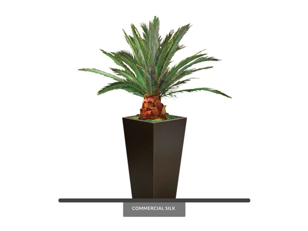 Pineapple Palm Tree Preserved
