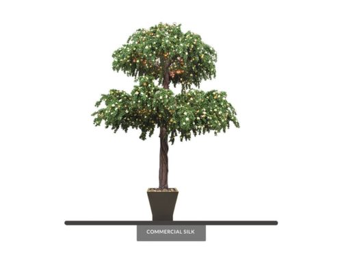 Azalea Tree, Flowering, With Lights ID# AZATMX5#