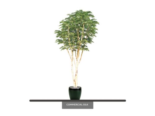 artificial potted birch trees