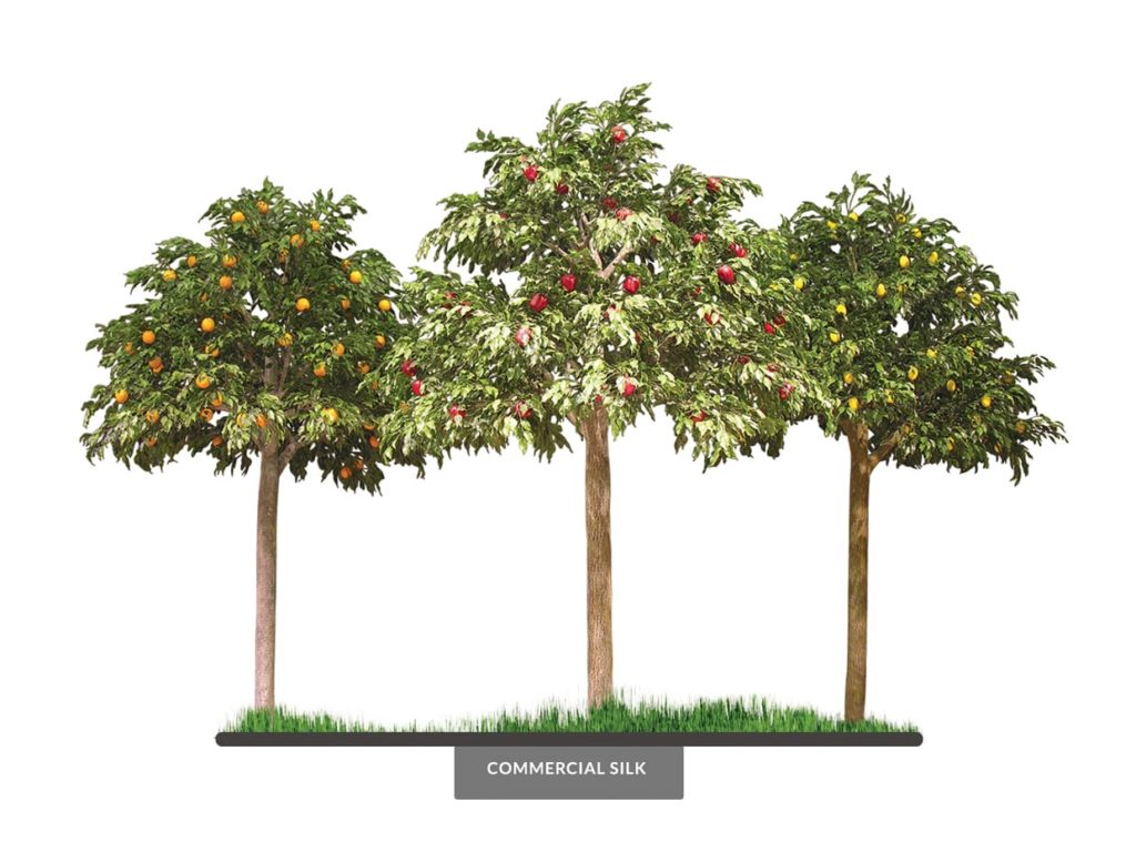 Ornamental Fruit Trees