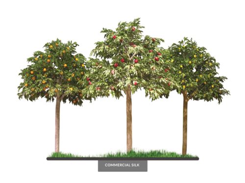 Fruit Fruit Grove ID# 4047
