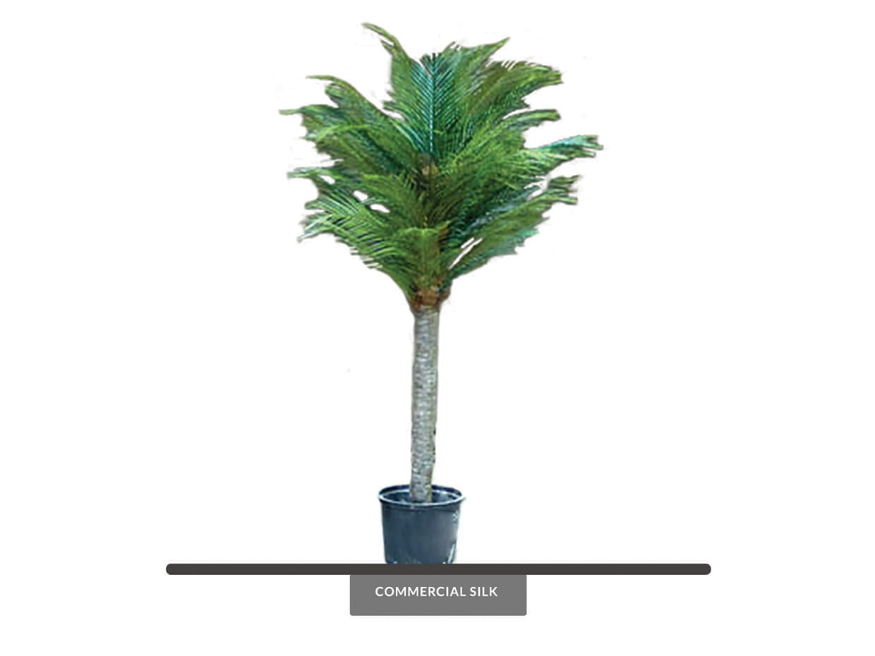 Artificial Phoenix Palm Tree (Outdoor)