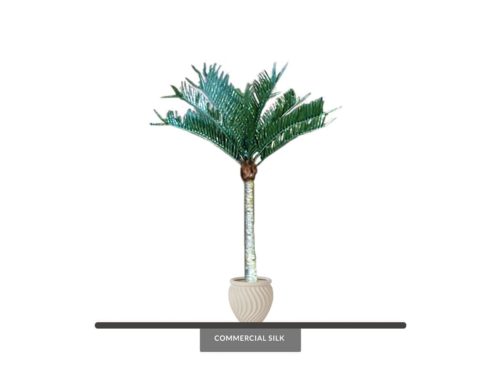 Tropical Palm Tree, Outdoor ID# 7626