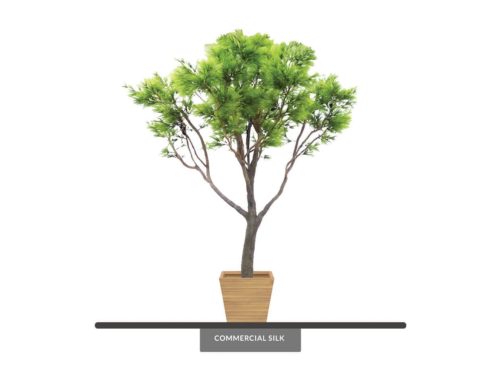 Pine Tree, Umbrella ID# PUBFY0X8-10