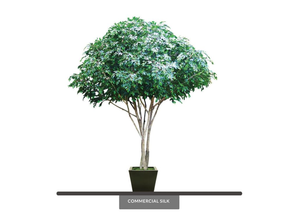 Artificial Ficus Embarcadero Tree