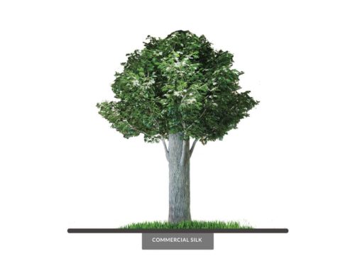 Red Oak Tree Column Wrap, 19' ID# 14769
