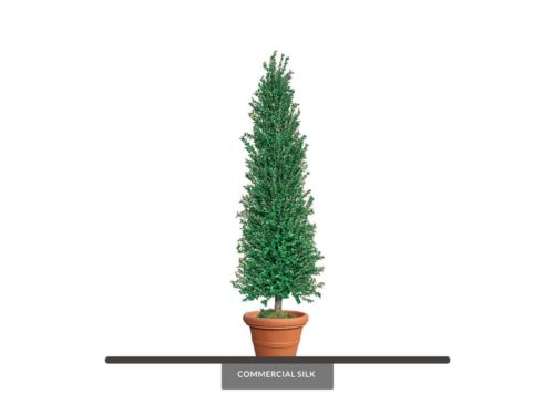 Privet Cypress Tree, Topiary ID# PRCC72