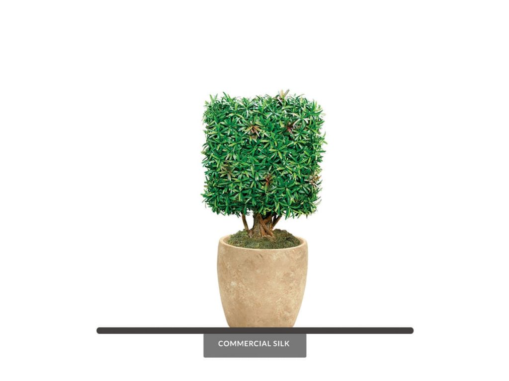 Artificial Podocarpus Cube Topiary