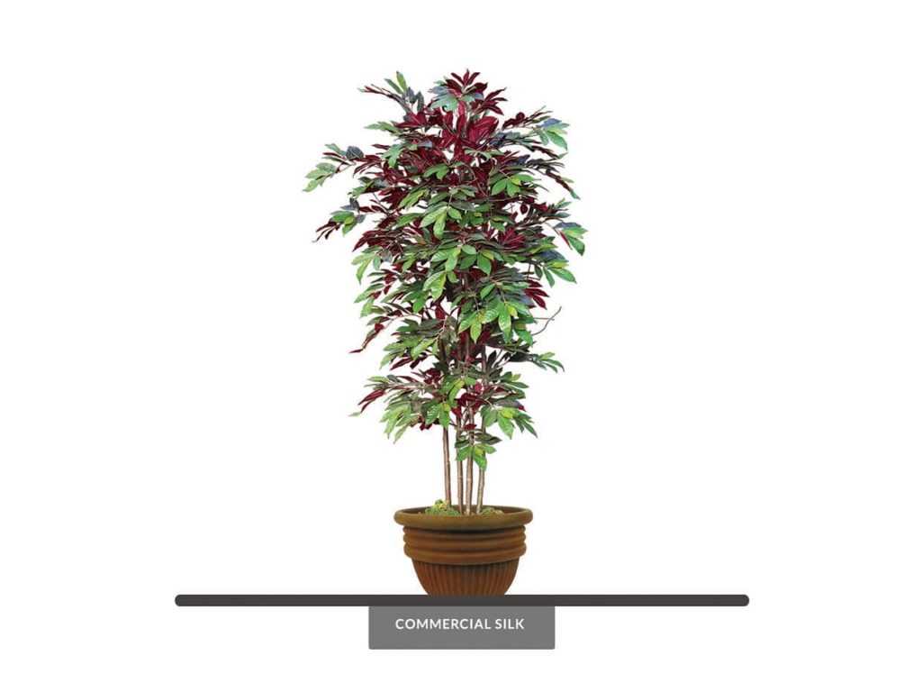 Artificial Capensia Tree