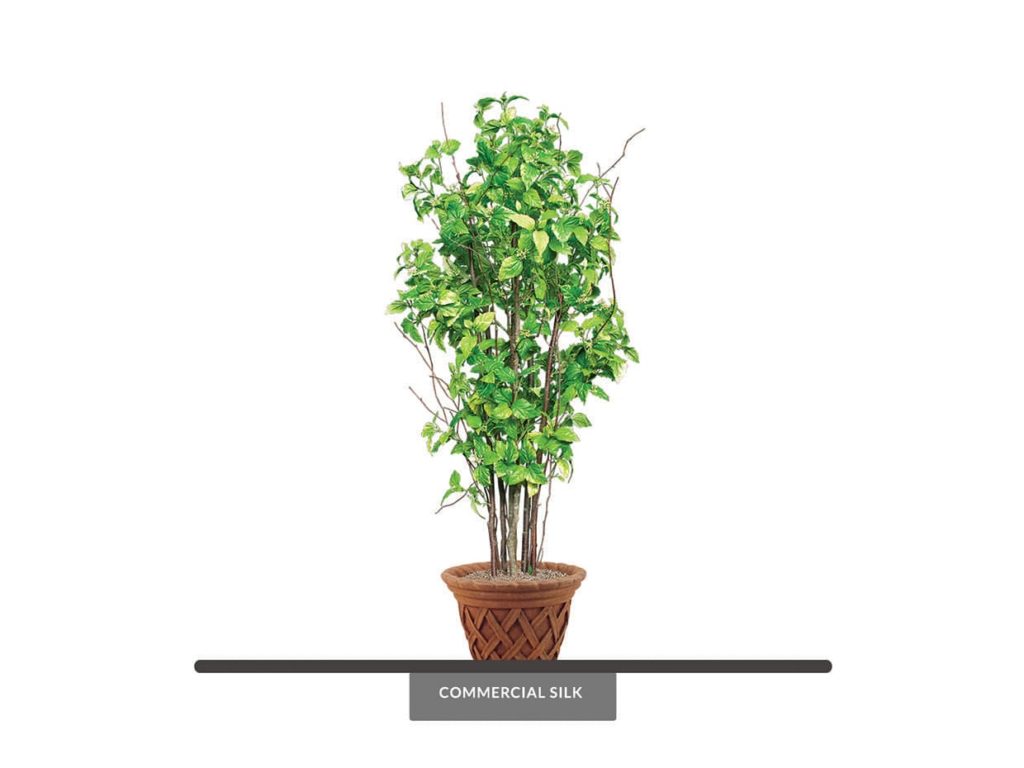 Artificial Rocky Mountain Birch Tree
