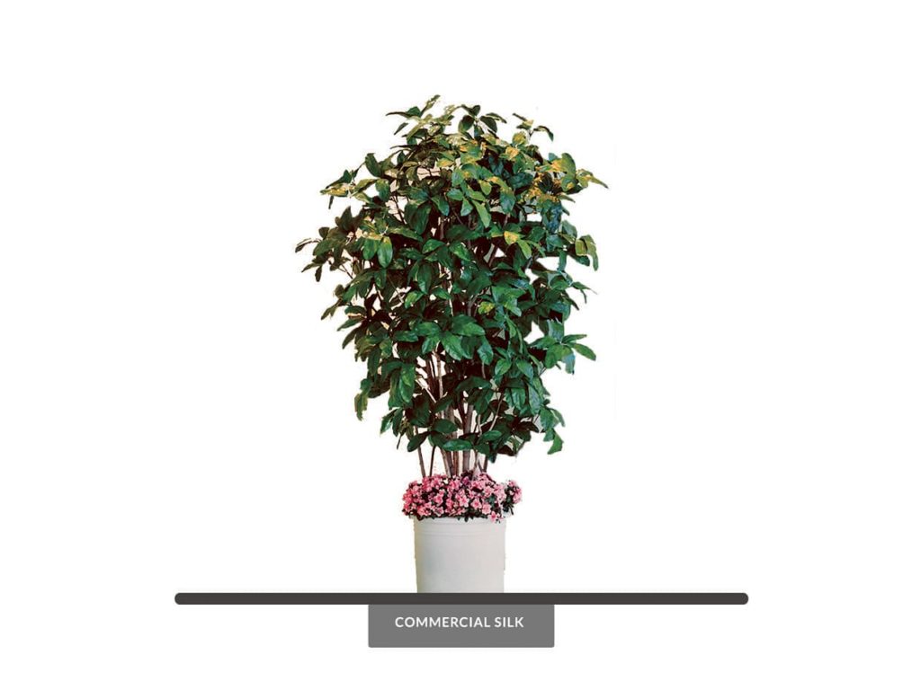 Artificial Schefflera Umbrella Tree