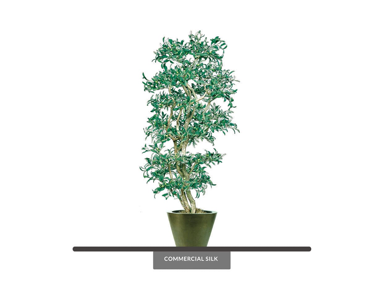 Artificial Mediterranean Olive Exotic Tree 8 Ft