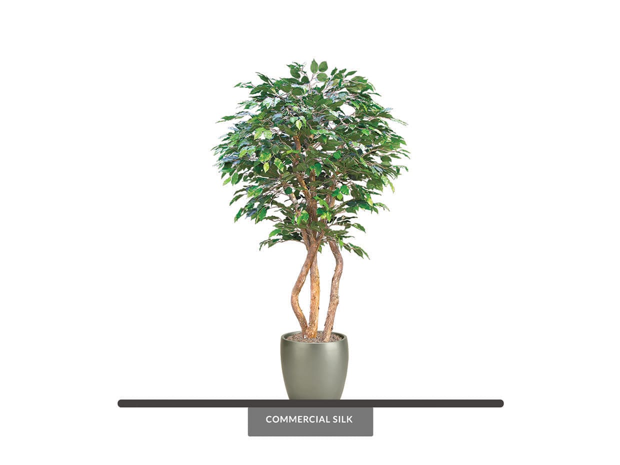 Artificial Ficus Benjamina Exotic Tree