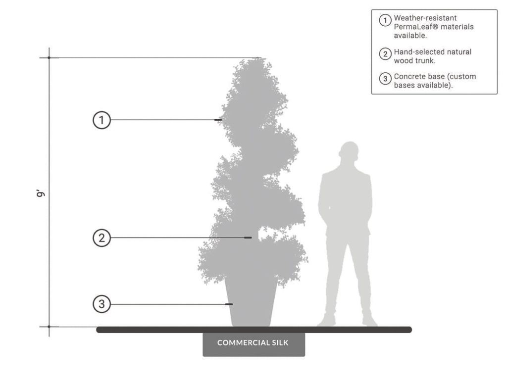 Outdoor Boxwood Spiral Topiary ID# BOXS60+
