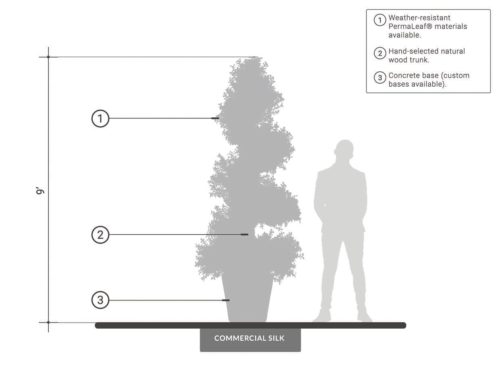 Outdoor Boxwood Spiral Topiary ID# BOXS60+