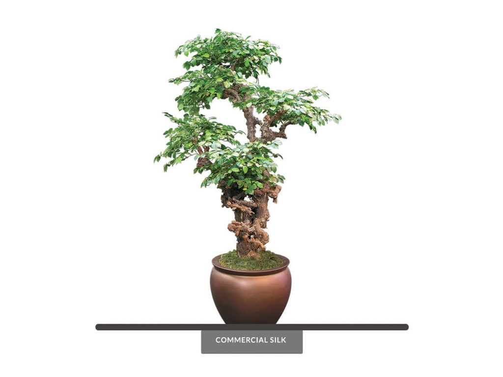 Artificial Ironwood Bonsai Tree