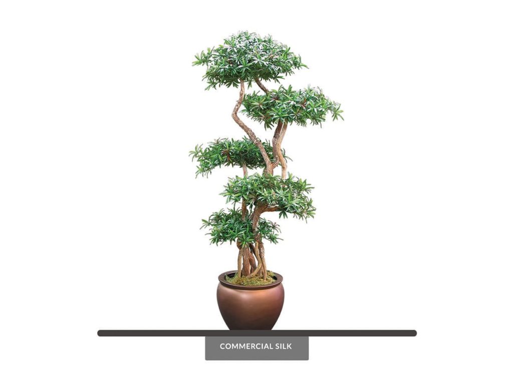 Artificial Podocarpus Bonsai Tree