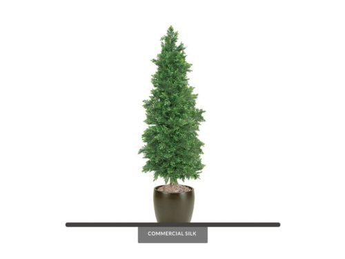 Cedar Cypress Topiary  ID# CEDC60