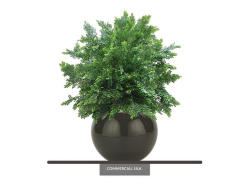 Outdoor Cedar Ball Topiary ID# CED1B36+