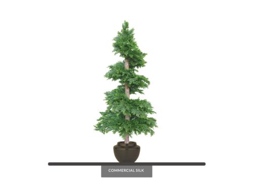 Outdoor Cedar Spiral Topiary ID# CEDS60+