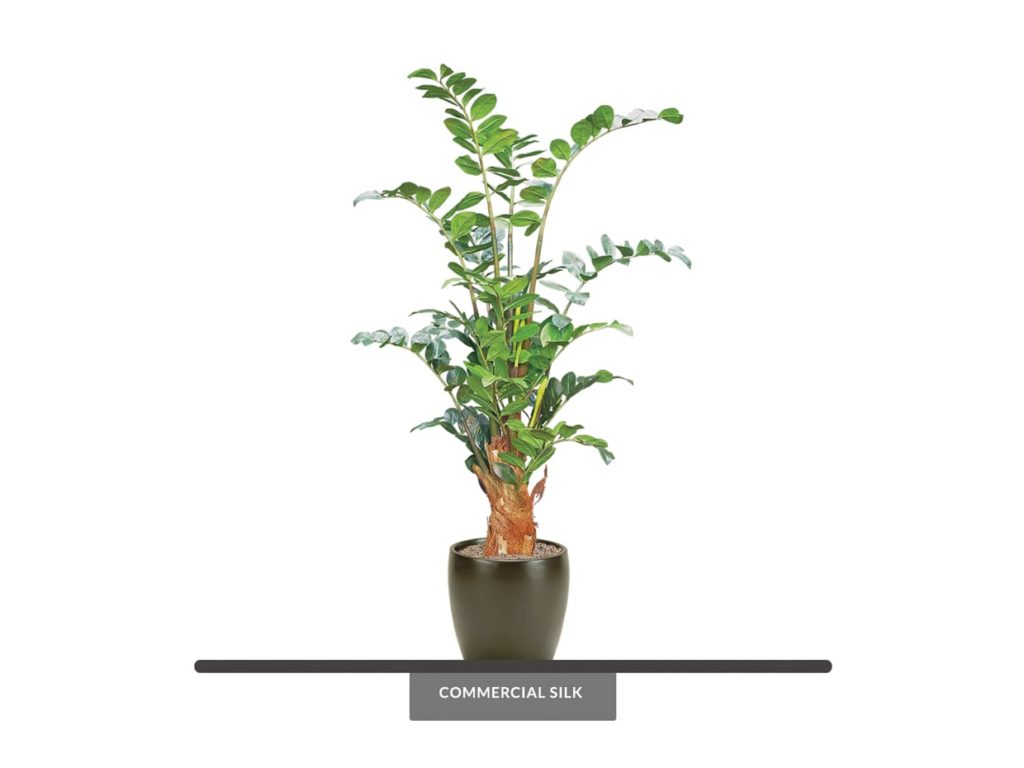 Artificial ZZ Money Tree