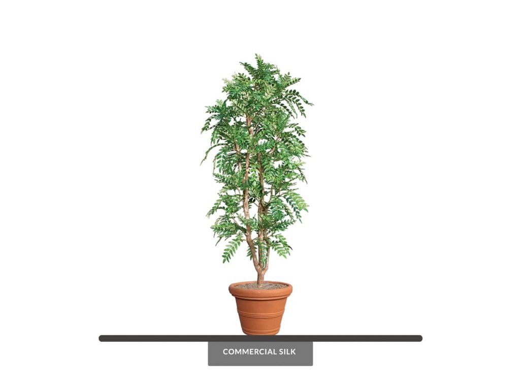 Artificial Mesquite Tree Indoor