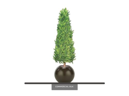 Sequoia Tree, Cypress Style ID# SEQC72